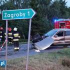 Fotka nr 2 z 14