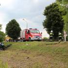 zdjęcie nr 7