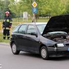 Fotka nr 2 z 6