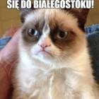 zdjęcie nr 13