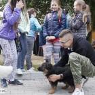 zdjęcie nr 26