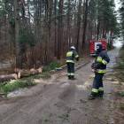 Fotka nr 2 z 15
