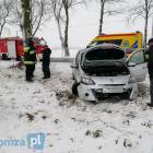 Fotka nr 3 z 14