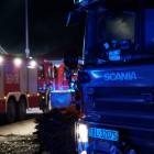 Fotka nr 2 z 11
