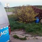 zdjęcie nr 9