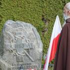 zdjęcie nr 14