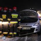Fotka nr 2 z 11