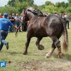 zdjęcie nr 30