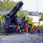 Fotka nr 4 z 12