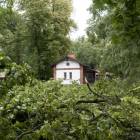 zdjęcie nr 10