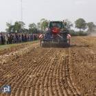Fotka nr 2 z 14