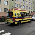 Fotka nr 5 z 6