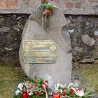 zdjęcie nr 21