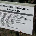 zdjęcie nr 37