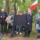 zdjęcie nr 20