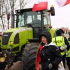 zdjęcie nr 20