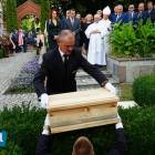 zdjęcie nr 17