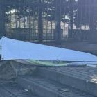Fotka nr 5 z 10