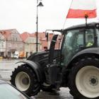 zdjęcie nr 11