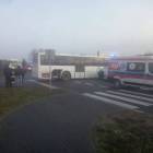 Fotka nr 2 z 3