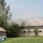 Fotka nr 4 z 12