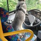 zdjęcie nr 15