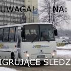 zdjęcie nr 17