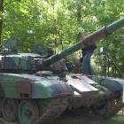 Fotka nr 2 z 3