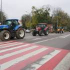 zdjęcie nr 18