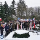 zdjęcie nr 26