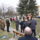 zdjęcie nr 14