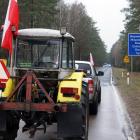 zdjęcie nr 11