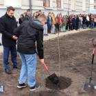 zdjęcie nr 7
