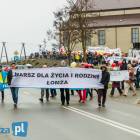 Fotka nr 5 z 87