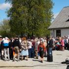 zdjęcie nr 51