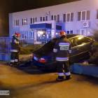 Fotka nr 2 z 12