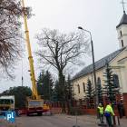 Fotka nr 2 z 22