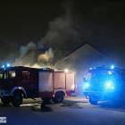 Fotka nr 5 z 11