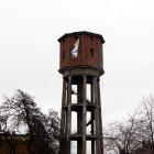 Fotka nr 3 z 7