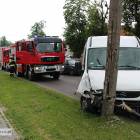 Fotka nr 3 z 12