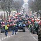 zdjęcie nr 7