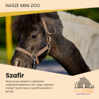 Fotka nr 1 z 12