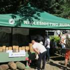 zdjęcie nr 29