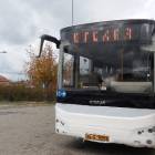 Fotka nr 1 z 3