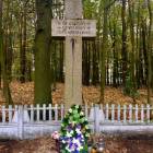 zdjęcie nr 11