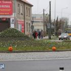 zdjęcie nr 15