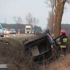 zdjęcie nr 8