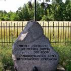 zdjęcie nr 19