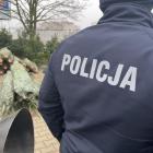 Fotka nr 1 z 6