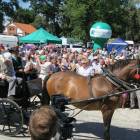 zdjęcie nr 67